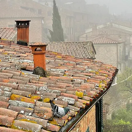 Casa Grinta 3*
