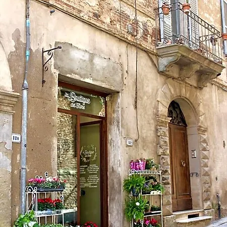 Casa Grinta
