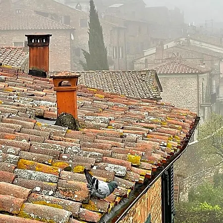 Bed & Breakfast Casa Grinta